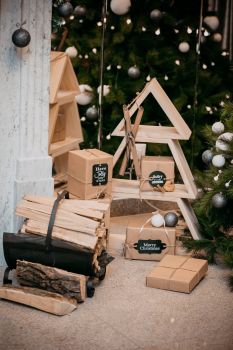 27022075 2024454737833792 3850996739219658802 o