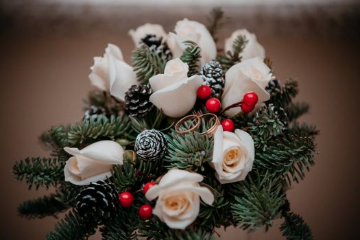 27023498 2024453611167238 4969904123196664775 o