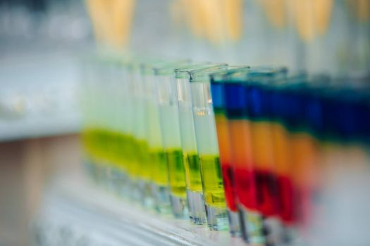 27625119 2031420627137203 6757297151745480229 o