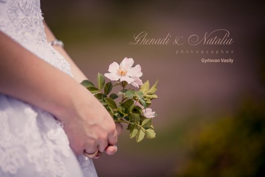 33943133 2092657157680216 1959734207831867392 o