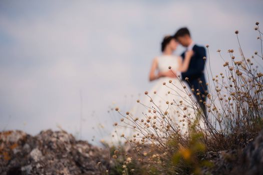 39891334 2176715369274394 1749177499184529408 o