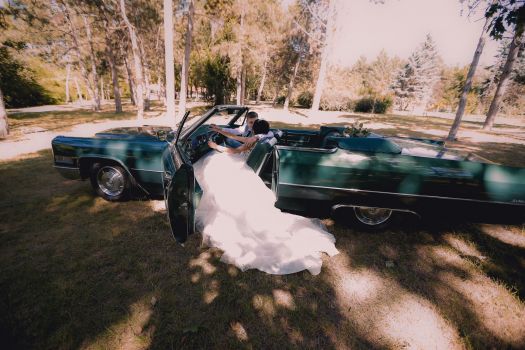 41195679 2185418868404044 1469085875605340160 o