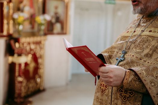 82776509 2546144638998130 3440097714073763840 o