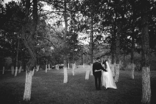 127980534 2819067455039179 9002202886893258940 o