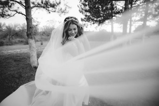 128387829 2819065248372733 3213595662242290901 o